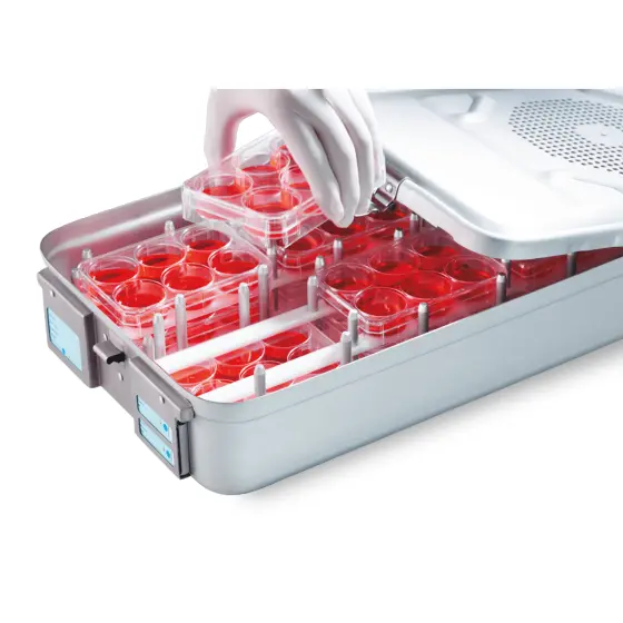 INFORS HT box for microtiter plates